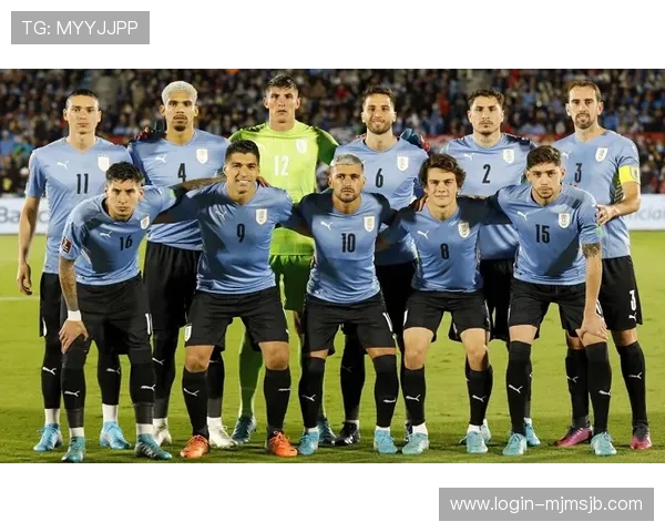 2026年世界杯南美洲区预选赛名额分配情况全面解读与未来趋势预测 2026年世界杯南美洲区预选赛名额分配情况全面解读与未来趋势预测