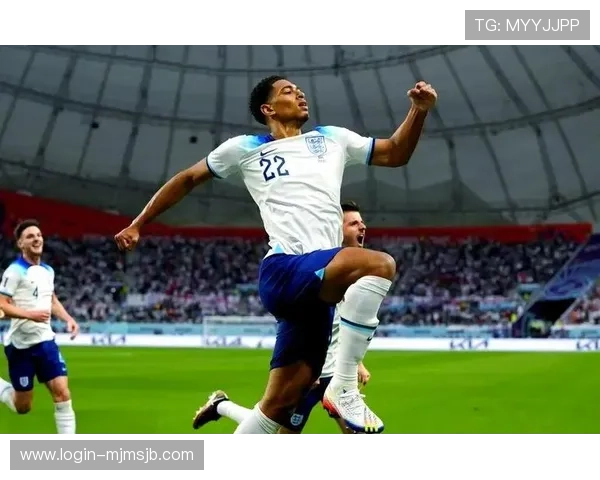 最新卡塔尔世界杯新闻报道：球迷互动、热点话题及赛事精彩回顾